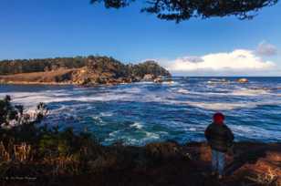 Point Lobos-1819.jpg Point Lobos-1819.jpg